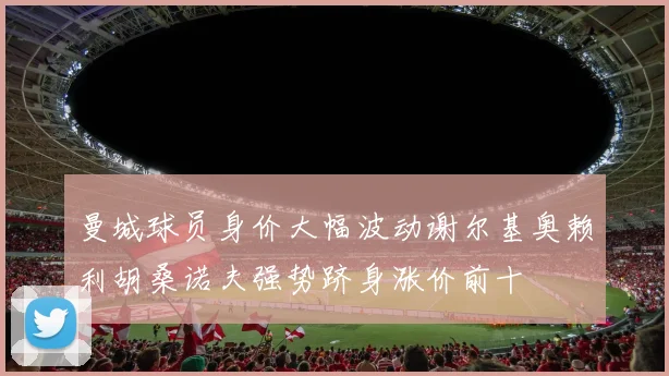 曼城球员身价大幅波动谢尔基奥赖利胡桑诺夫强势跻身涨价前十